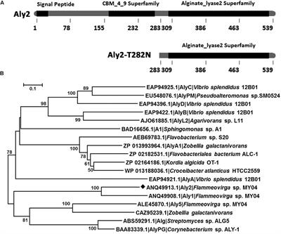 A Novel Bifunctional Endolytic <mark class="highlighted">Alginate Lyase</mark> with Variable Alginate-Degrading Modes and Versatile Monosaccharide-Producing Properties